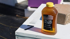 bottle of Valor Honey
