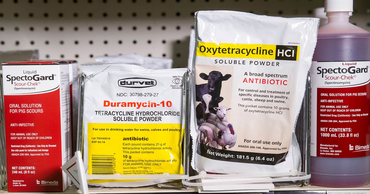 FDA rule requiring vet prescriptions takes effect in June