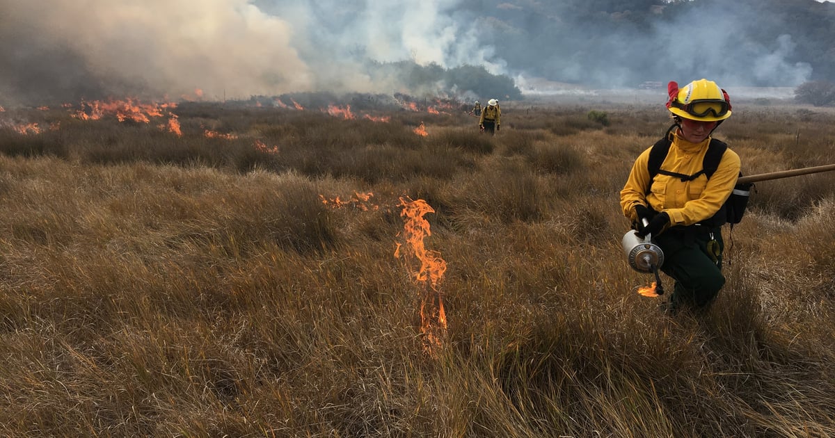 Public invited to see ‘good fire’ at fair