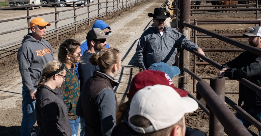 Students participating in the feedlot boot camp