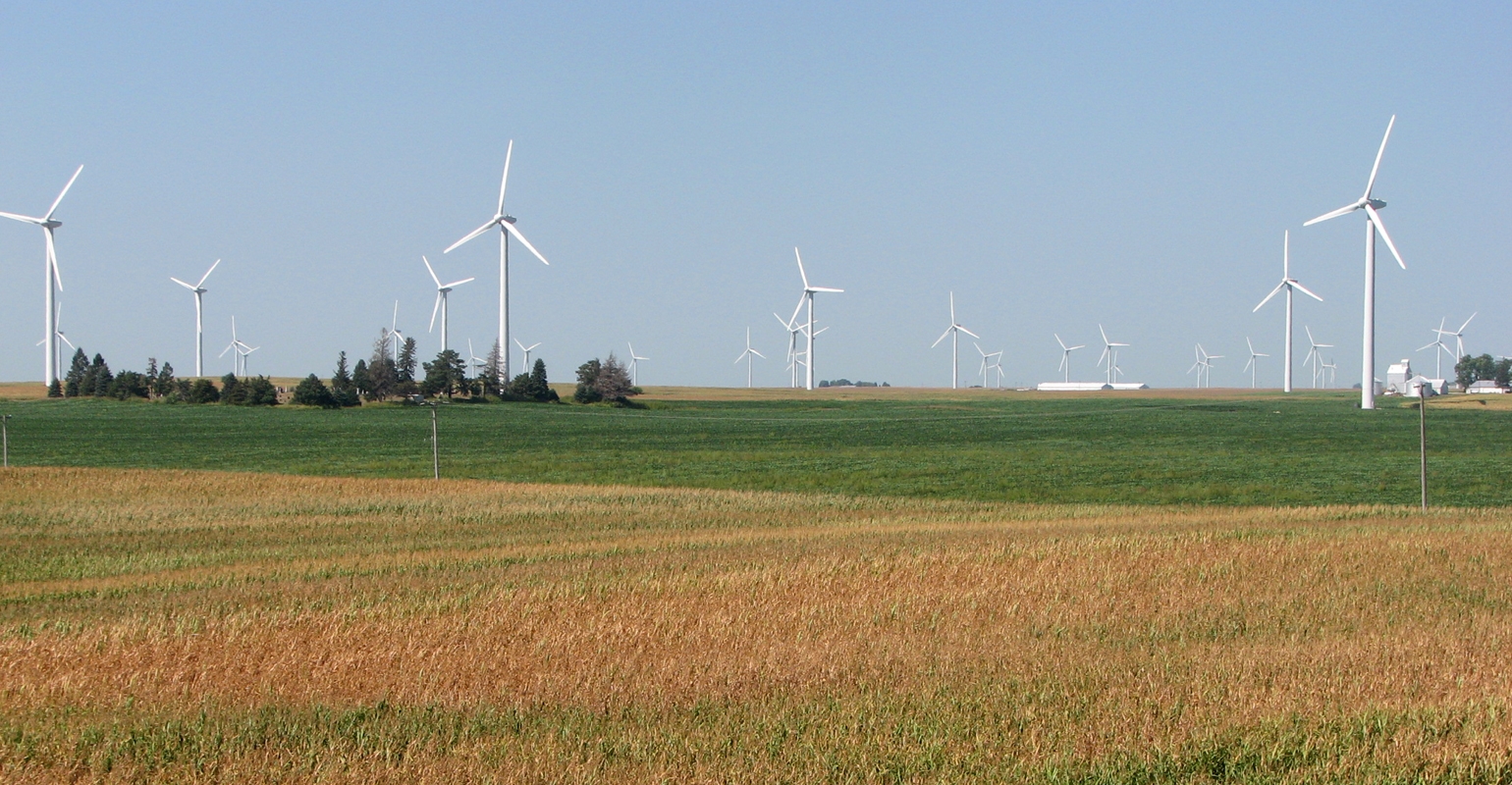 Windfarms raise incomes and house prices in rural US, study finds