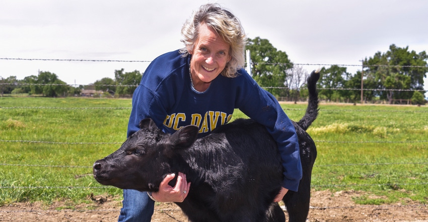 wfp_alison_van_eenennaam_with_calf.jpg