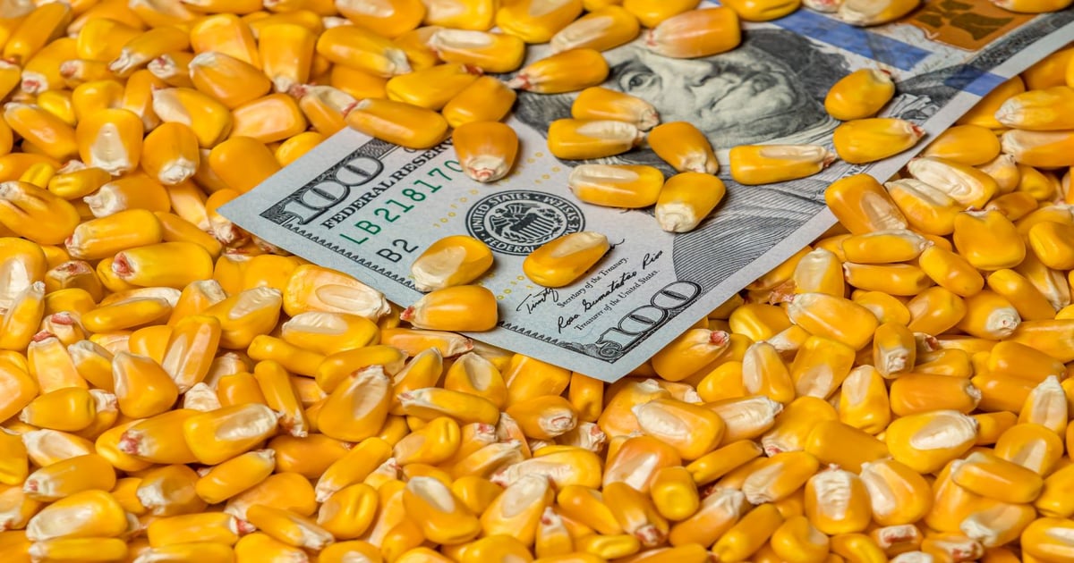 2026 Crop insurance prices favor soybeans over corn