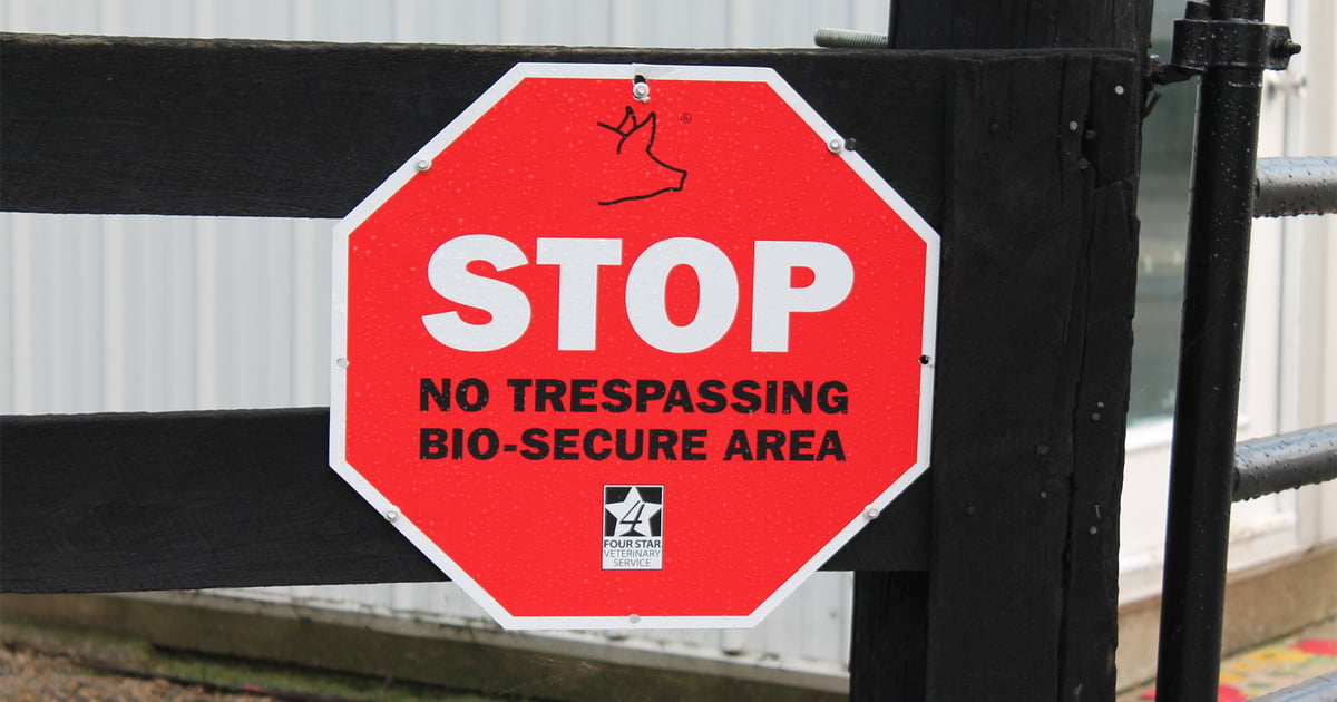 What should hog producers know about pseudorabies’ reemergence?