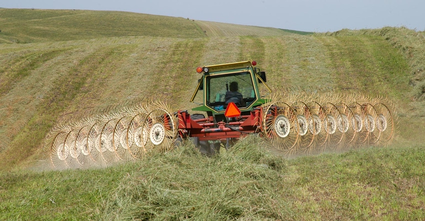 A tractor raking an alfalfa-grass mix