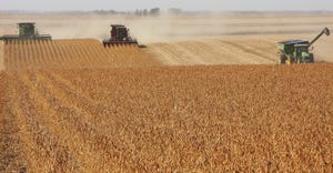 combines harvesting soybean field