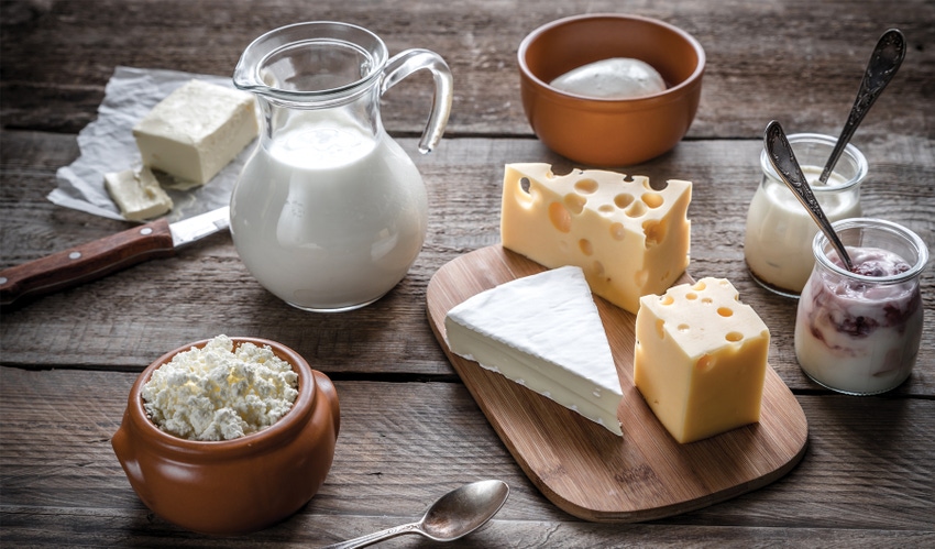 Milk, cheeses, yogurt on table