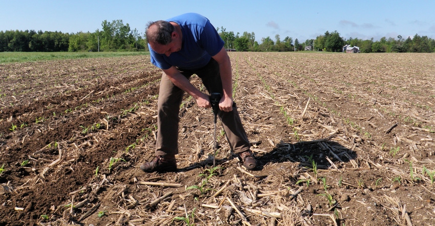 farmer using a penetrometer to check soil compaction farmer using a penetrometer to check soil compaction