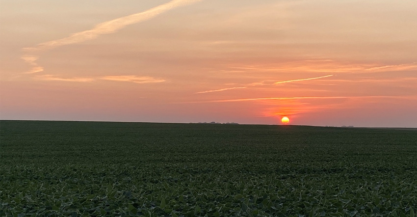 Farmland at sunset