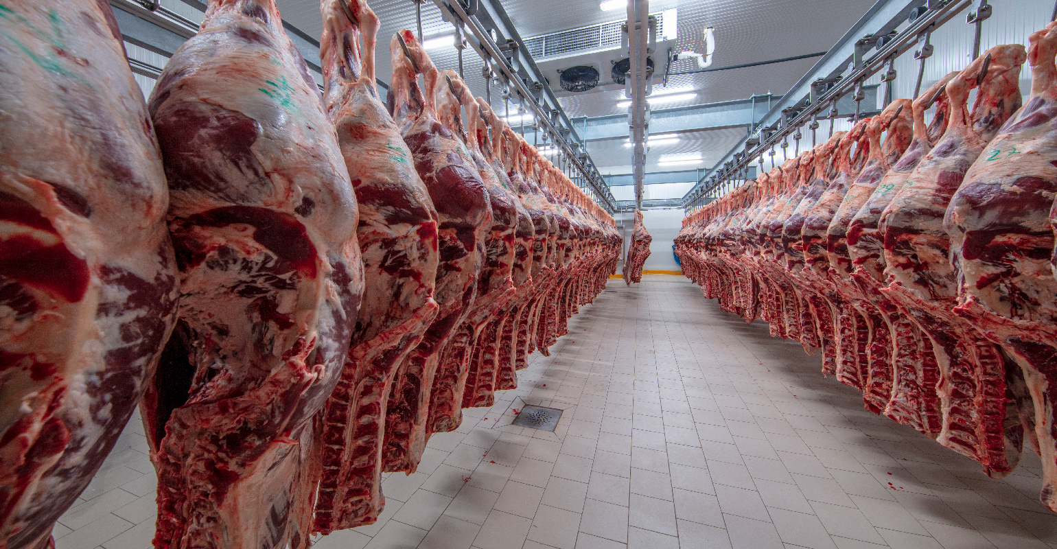 Allicin powder manufacturer Allicin powder manufacturer