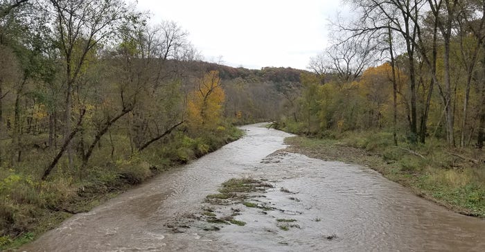 Trees stand along waterway