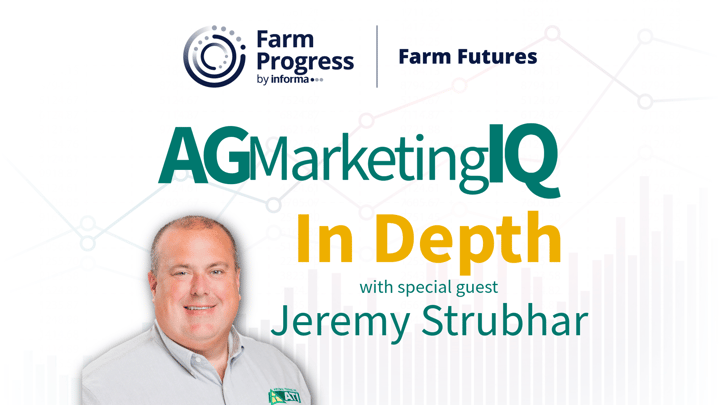 Export surge could slash U.S. corn carryout, lift prices
