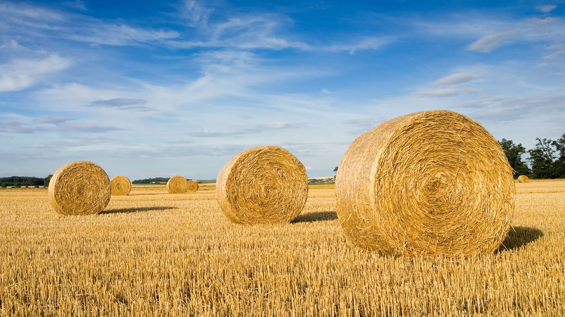 Straw bale protective cover - All the agricultural manufacturers