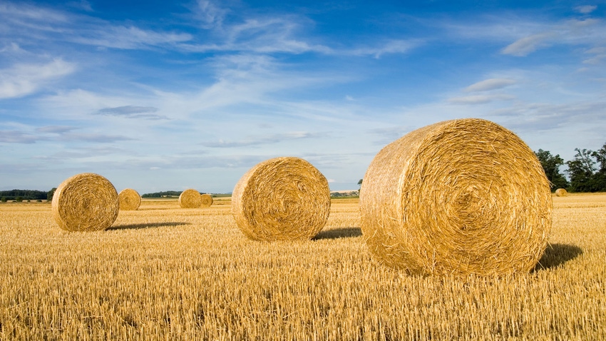 bales of wheat straw