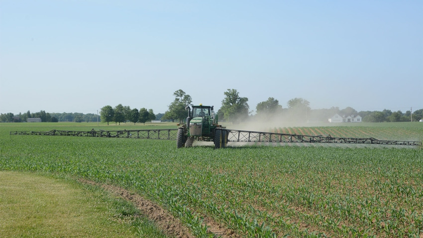  A tractor spraying a young cornfield