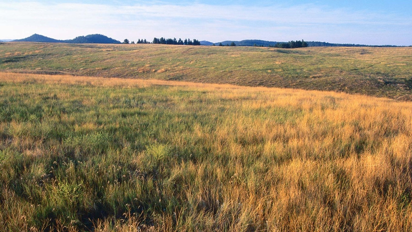 Conservation prairie Conservation prairie