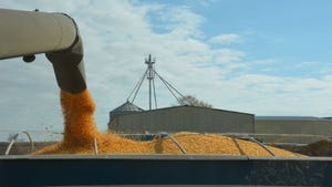Corn pours from an augur into a grain truck