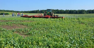 tractor pulling roller-crimper through field of cereal rye