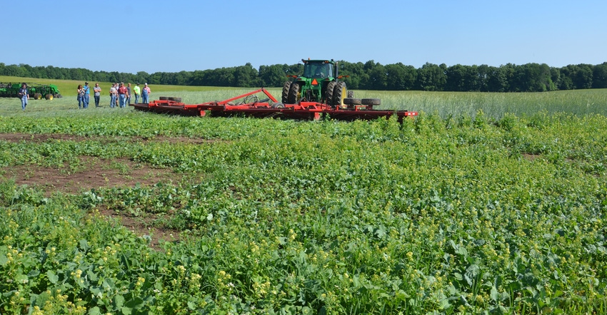 tractor pulling roller-crimper through field of cereal rye tractor pulling roller-crimper through field of cereal rye