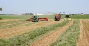 A tractor harvesting silage in a field