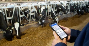 farmer using smart phone to access app in barn