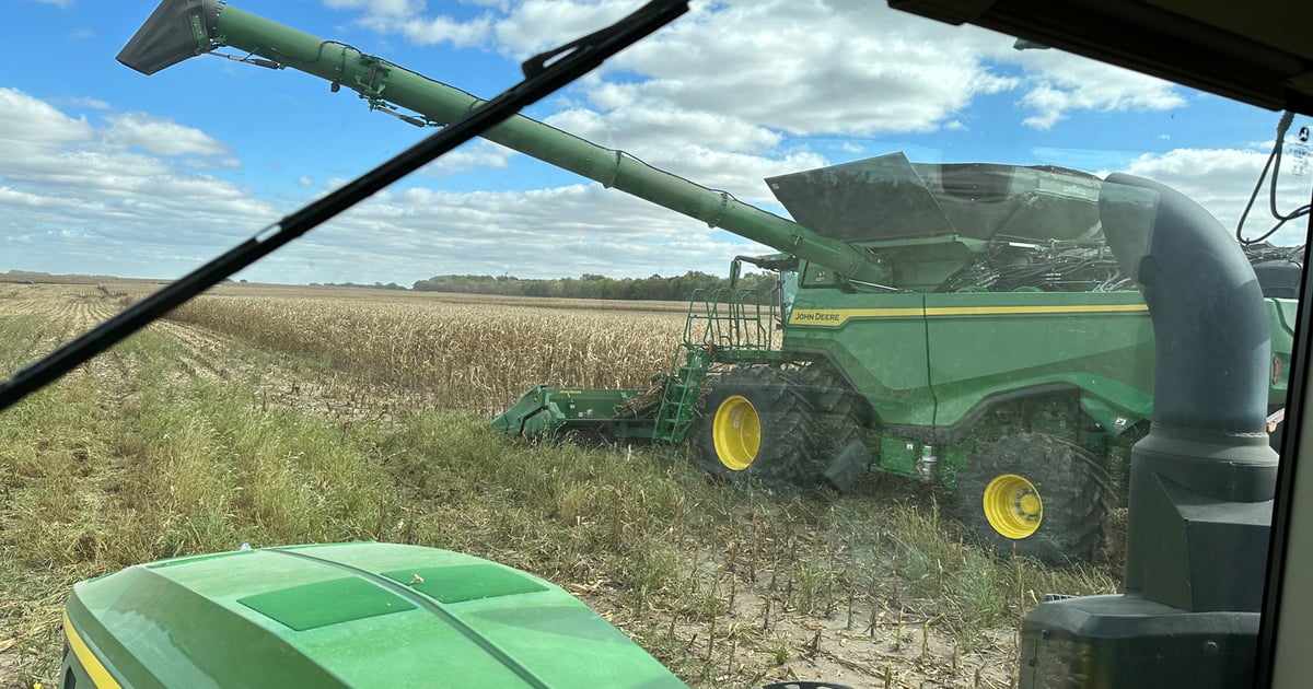 Farm loan renewals surge as income falls