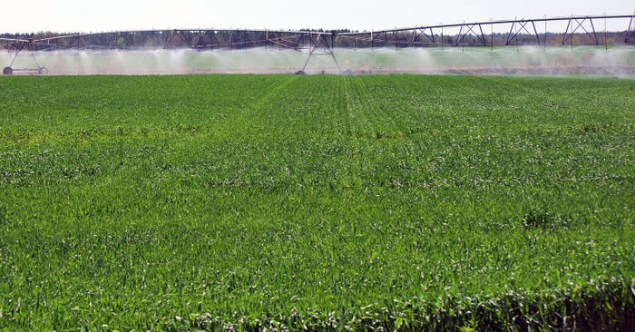 brad-haire-farm-progress-wheat-irrigation-ga-2-a.jpg