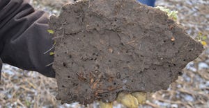 slab of soil