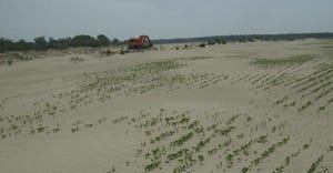 This photo, taken of a soybean field in 2012, shows the problems with sand that occurred when cover crops weren't established