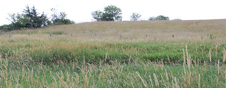 crp_sign_reflects_strong_interest_conservation_1_635118801010676000.jpg