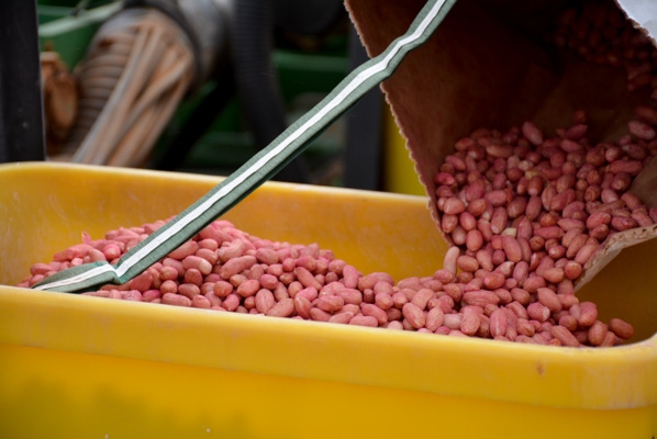 SWFP-Peanuts-18.jpg SWFP-Peanuts-18.jpg