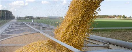 usda_exports_corn_wheat_sales_soybeans_slip_1_636101322531815436.jpg