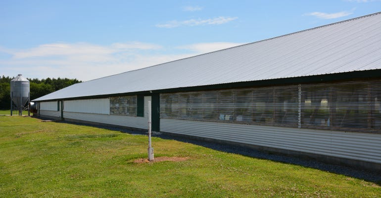 Outdoor view of polycarbonate side panels on poultry house