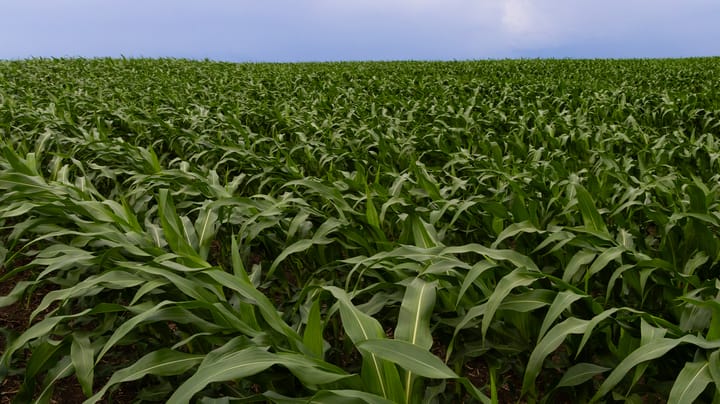 Why this quiet tax credit could spur a clean water revolution