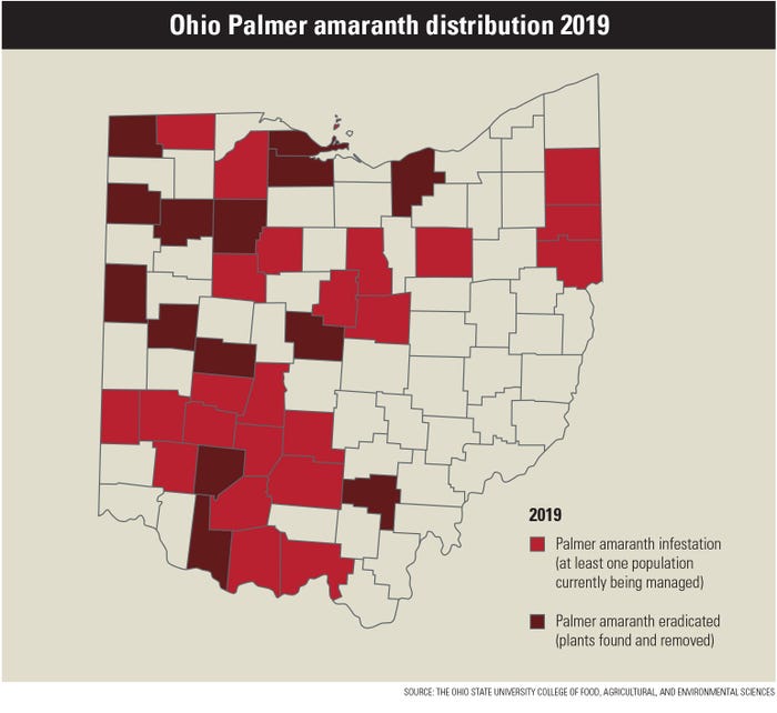 Map of Ohio palmer amaranth distribution in 2019