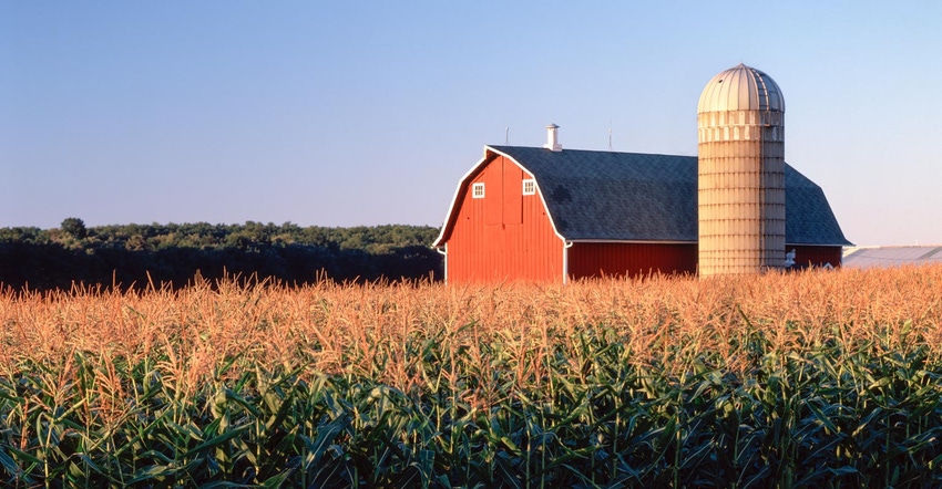 A red barn and silo in the middle of a cornfield