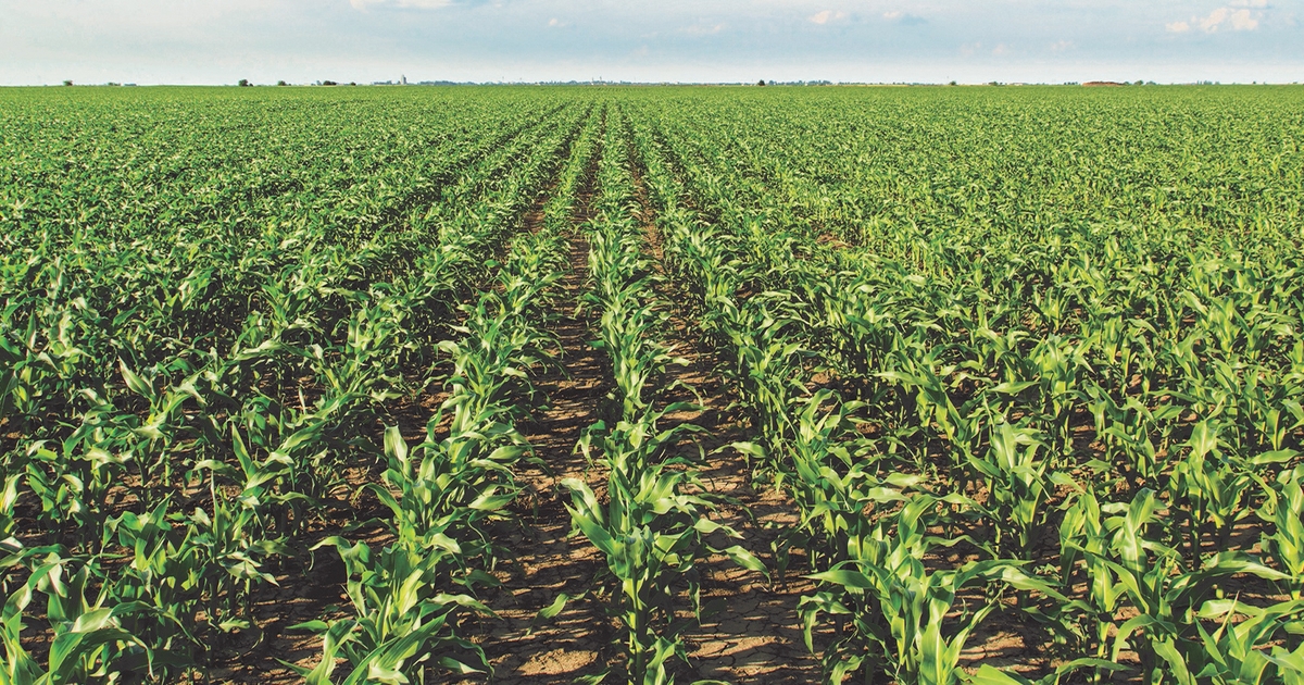 Nutrient management plans more valuable than ever