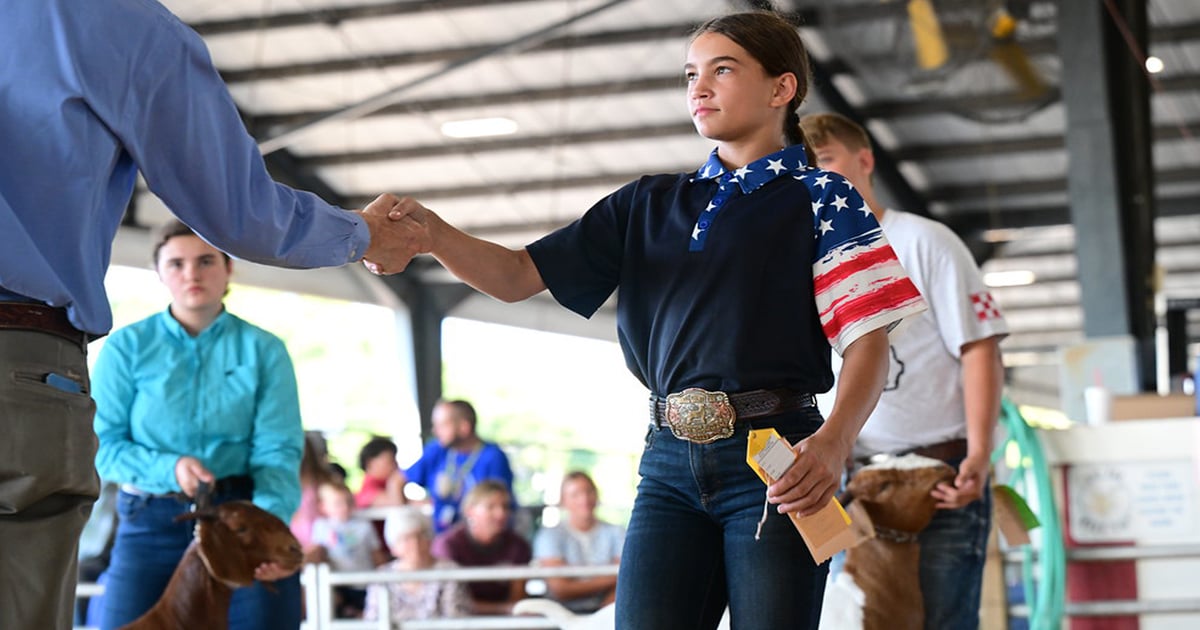How the Missouri State Fair is celebrating America