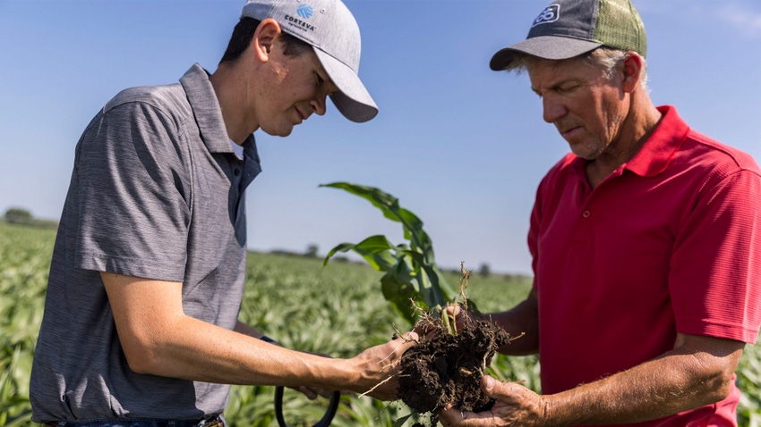 3 key considerations for corn seed selection