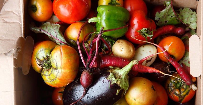 Vegetables from garden