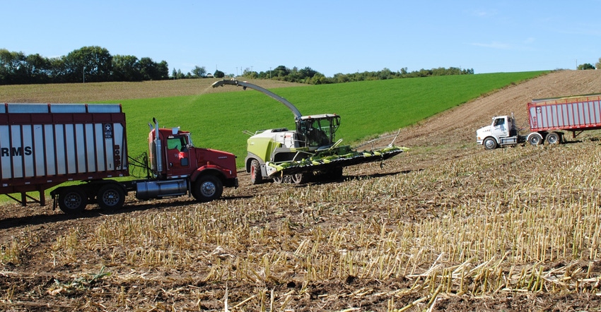 combine in field with grain trucks