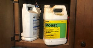 jugs of pesticide stored in cabinet under counter