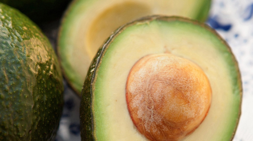 Avocados Avocados