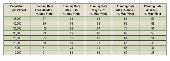 Table 2. Relative yield potential of corn by planting date and population.