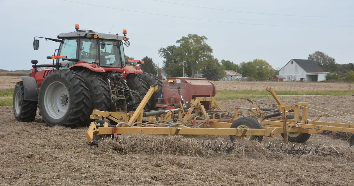How veteran cover croppers manage annual rye before corn