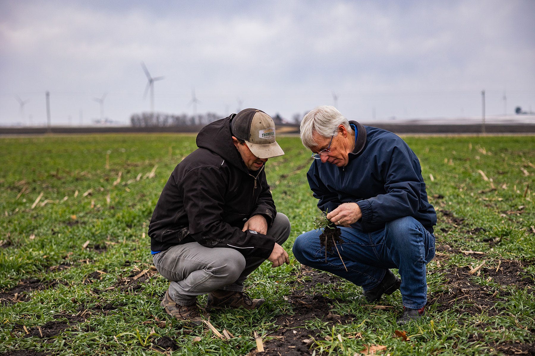 Two men examining soil while squatting in a no-till farm field with a cover crop