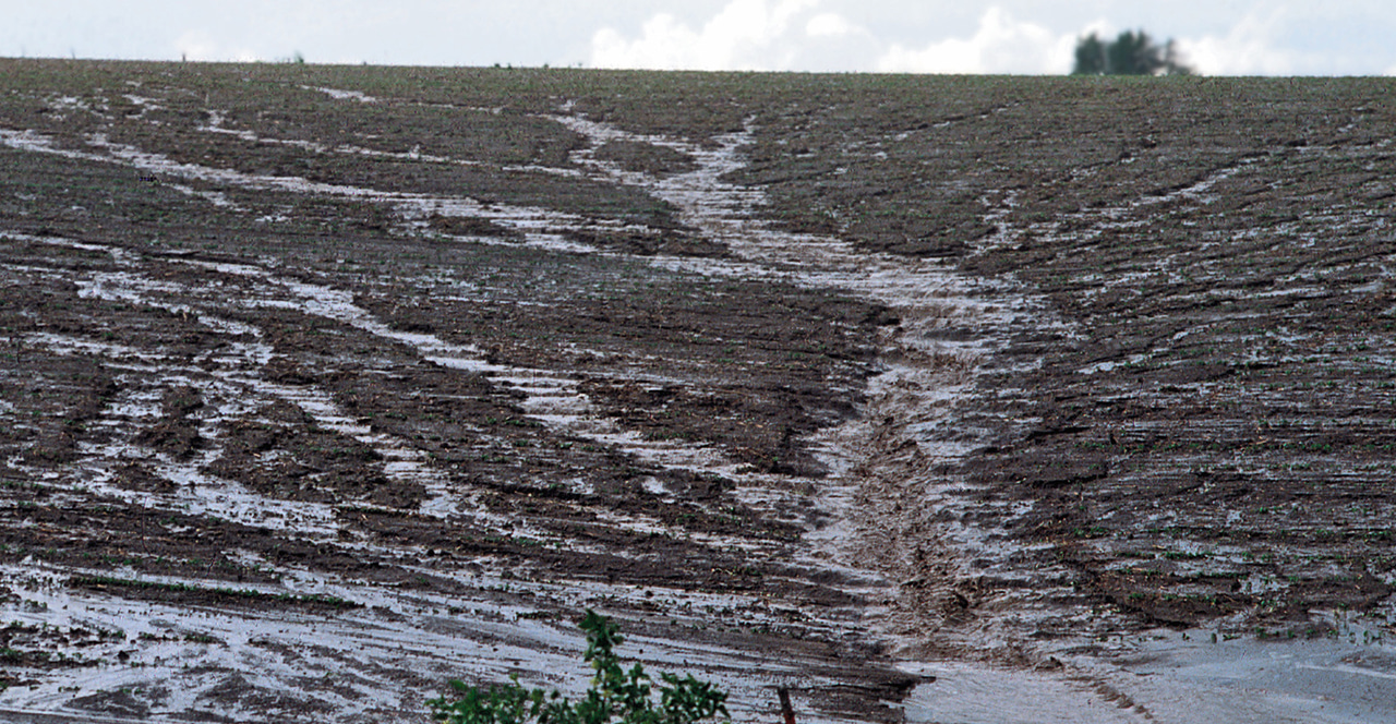 Gully Gully Erosion Landforms In The World: Erosion Landform ( 08.Gully )