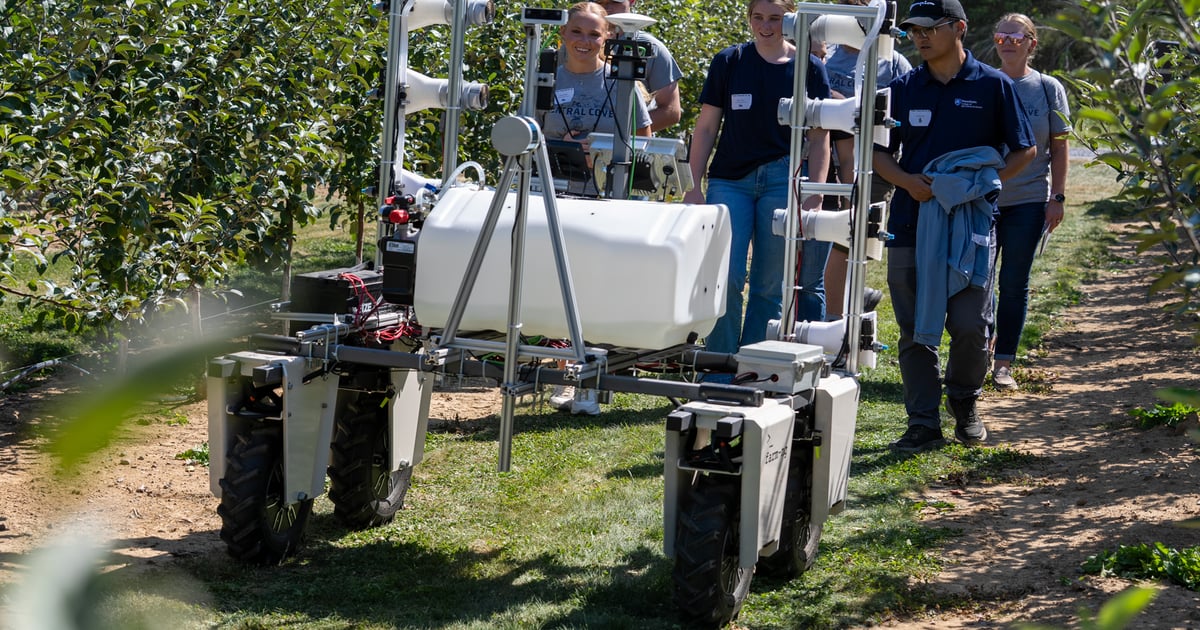 What can a robot do in your cornfield?