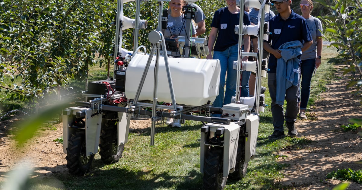 What can a robot do in your cornfield?