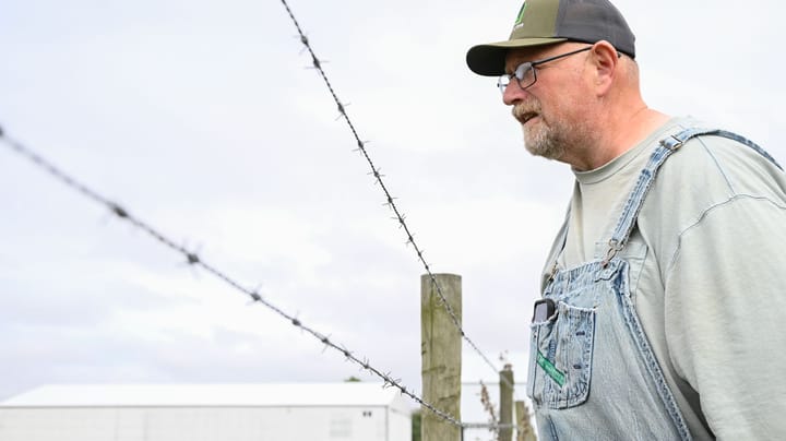 Pasture-raised pork: Answering the protein demand boom
